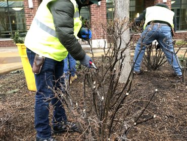 Landscape Management